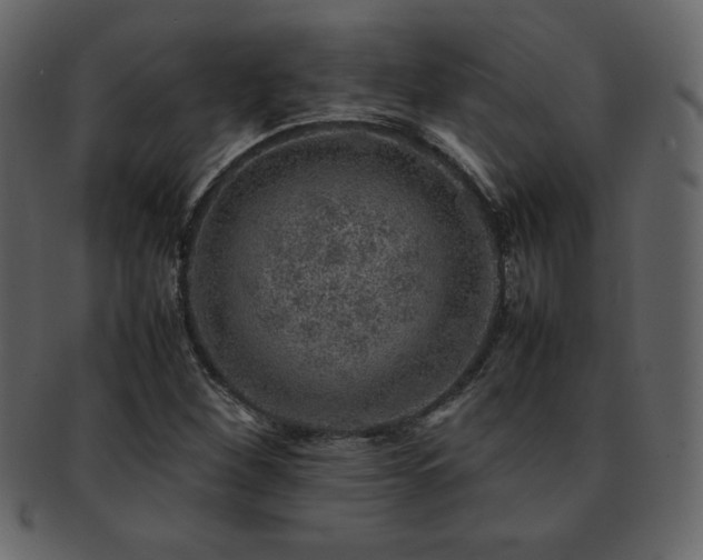 X0000093161260200709261502
