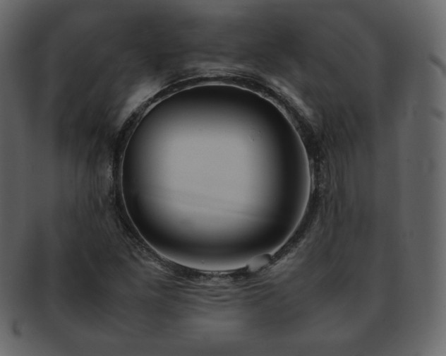 X0000093161261200709261502