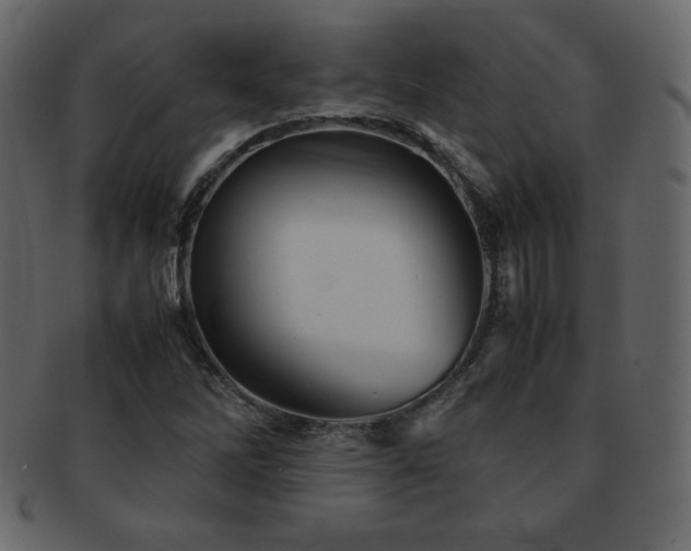 X0000093161262200709261502