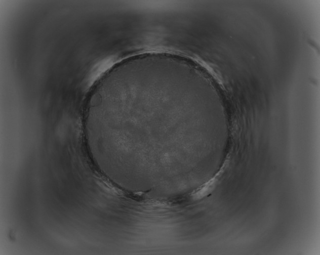 X0000093161263200709261502