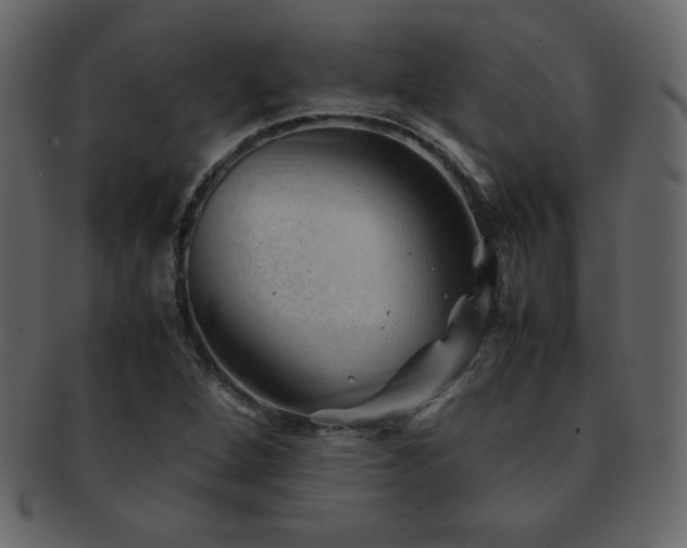 X0000093161264200709261502