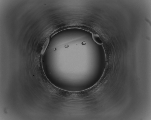 X0000093161265200709261502