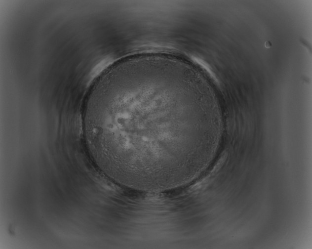X0000093161267200709261502
