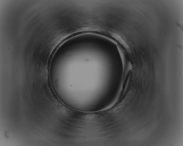 X0000093161268200709261502