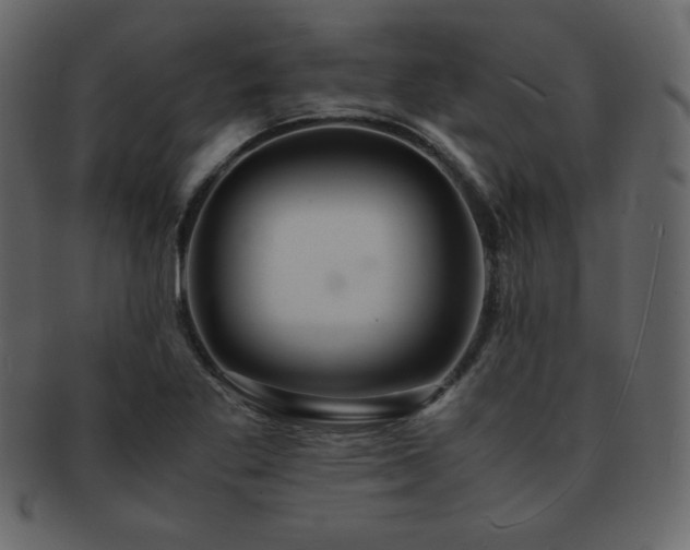 X0000093161269200709261502