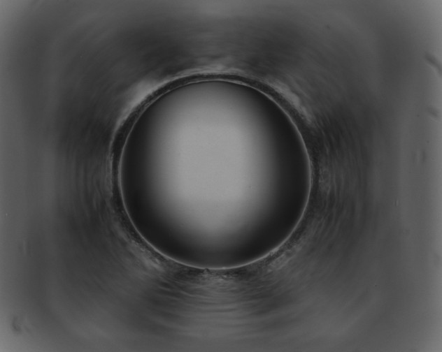 X0000093161270200709261502