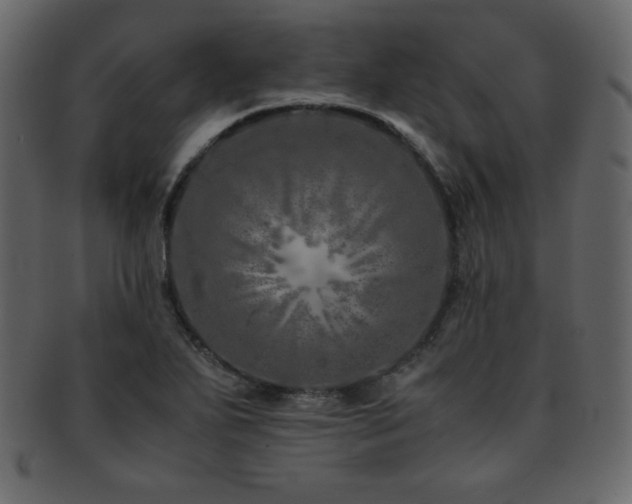 X0000093161271200709261502