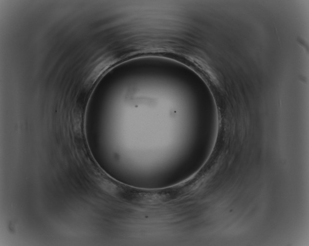 X0000093161273200709261502
