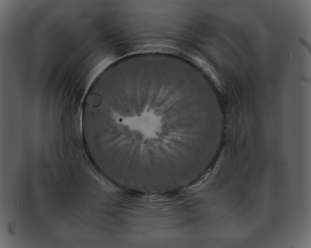X0000093161275200709261502
