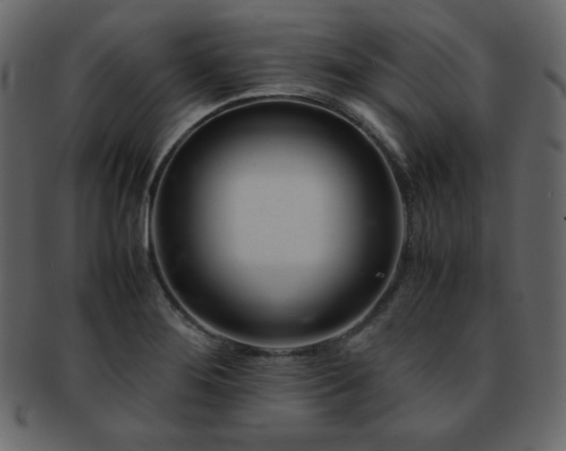 X0000093161276200709261502