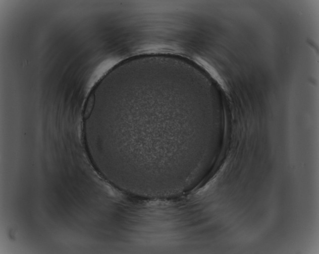 X0000093161277200709261502