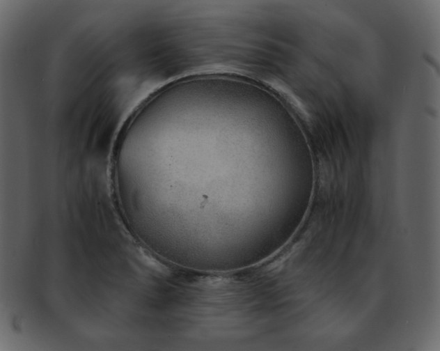 X0000093161278200709261502