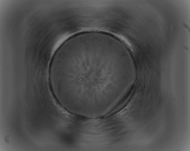 X0000093161279200709261502