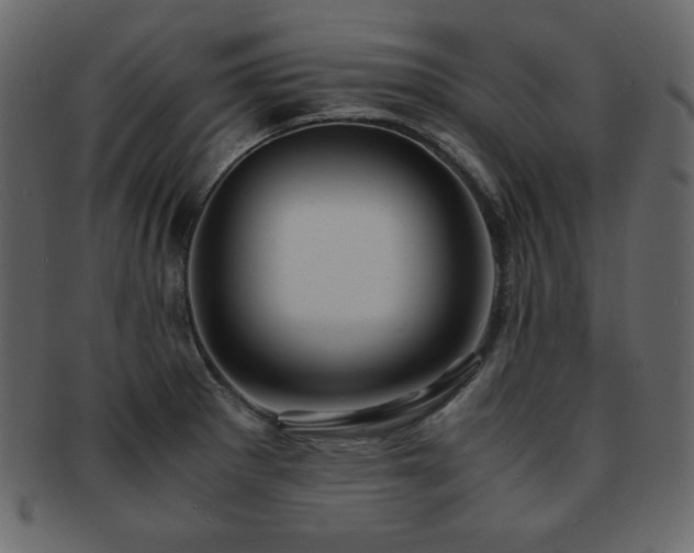 X0000093161281200709261502