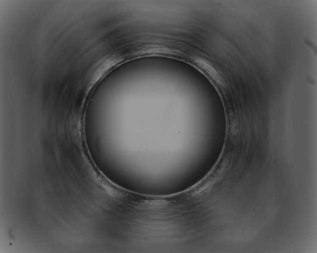 X0000093161282200709261502