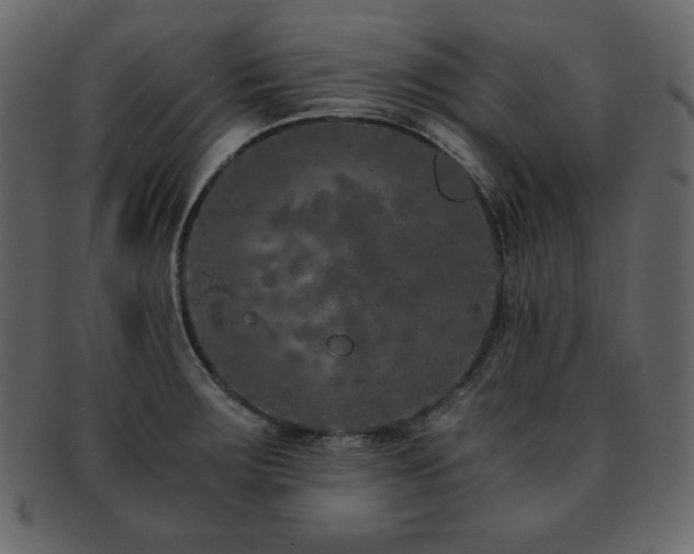 X0000093161283200709261502