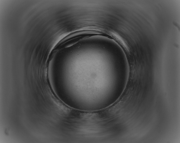 X0000093161284200709261502