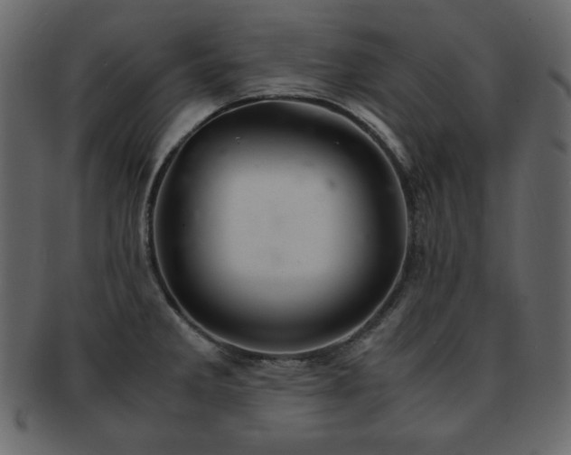 X0000093161285200709261502