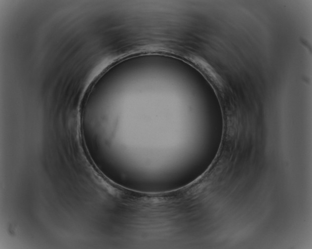 X0000093161286200709261502