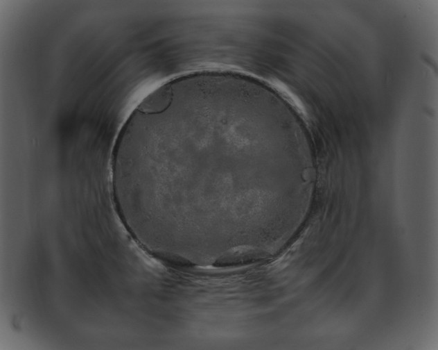 X0000093161287200709261502