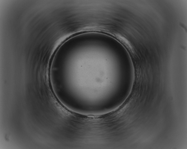 X0000093161288200709261502