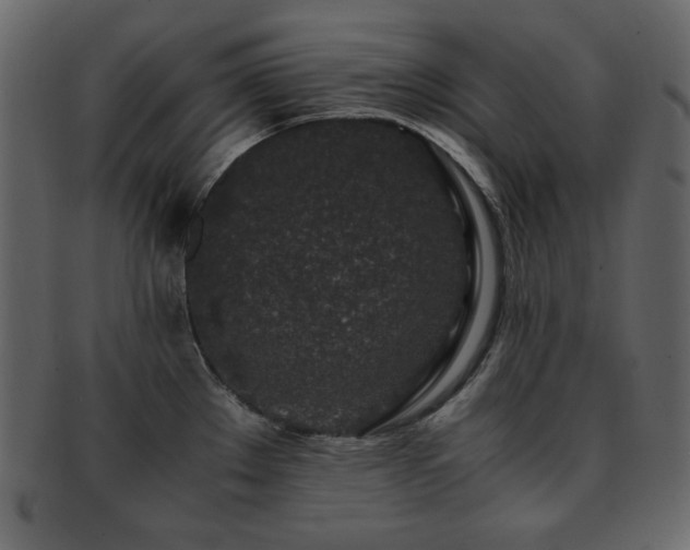 X0000093161289200709261502