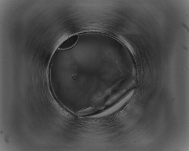 X0000093161291200709261502