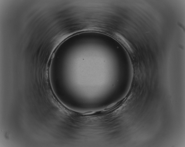 X0000093161292200709261502