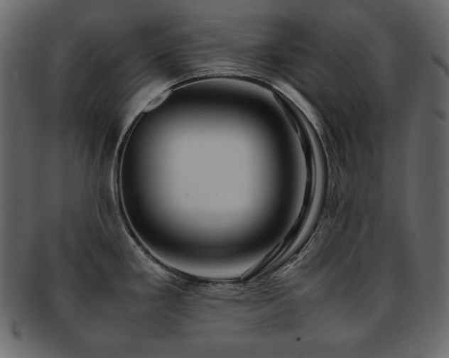 X0000093161293200709261501