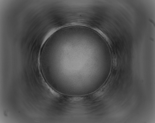 X0000093161294200709261501