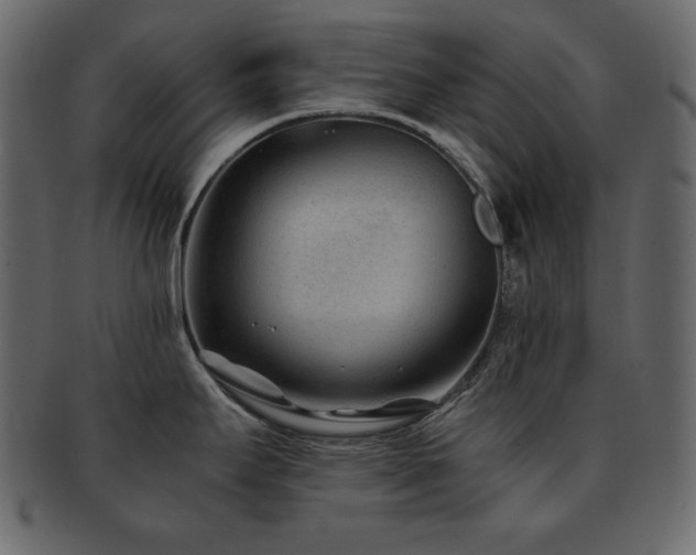 X0000093161295200709261501