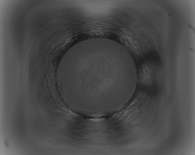 X0000093161297200709261501