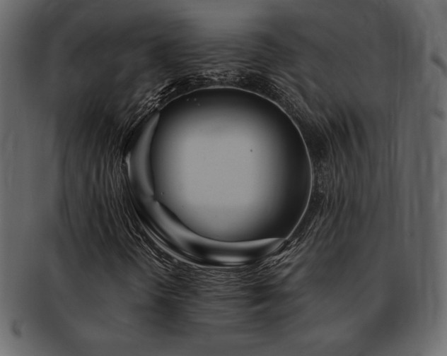 X0000093161298200709261501