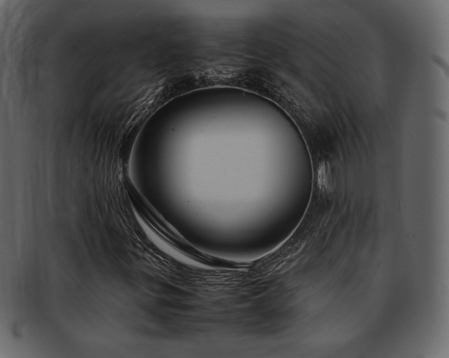 X0000093161299200709261501