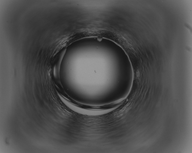 X0000093161300200709261501