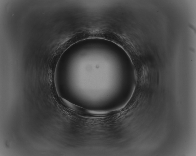 X0000093161301200709261501