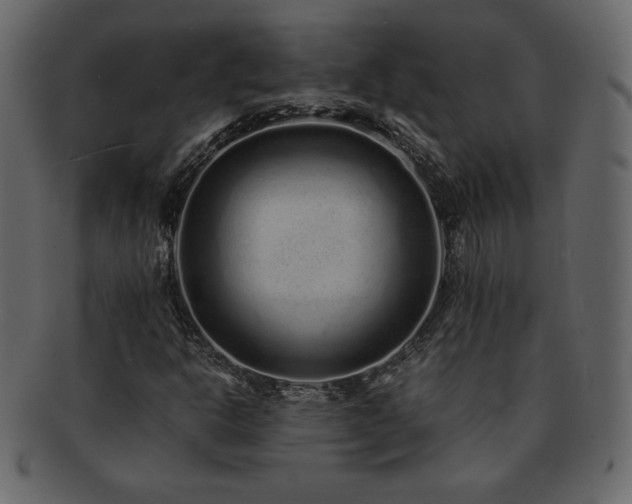 X0000093161302200709261501