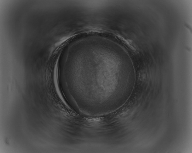 X0000093161303200709261501