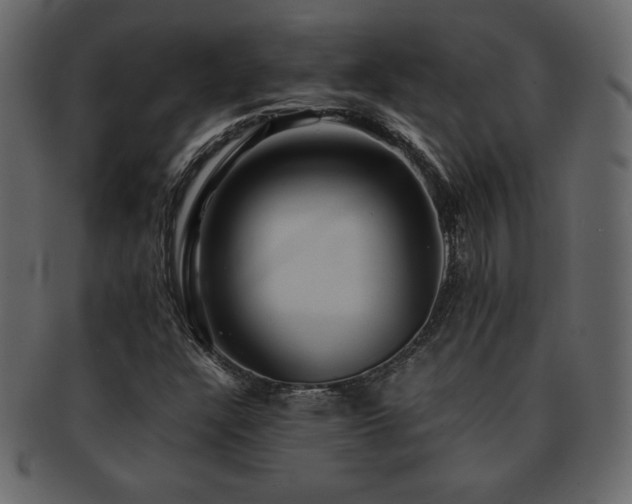 X0000093161304200709261501