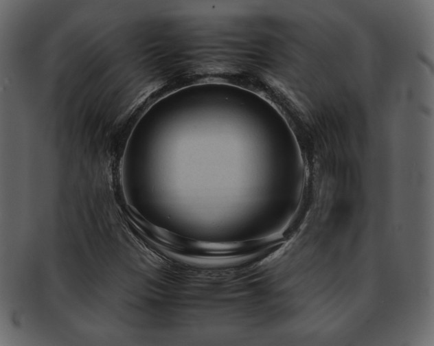 X0000093161305200709261501