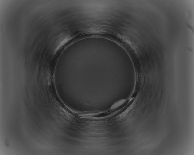 X0000093161306200709261501