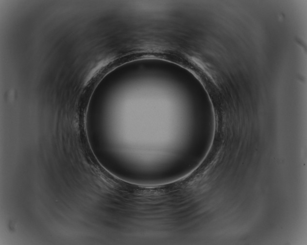 X0000093161307200709261501