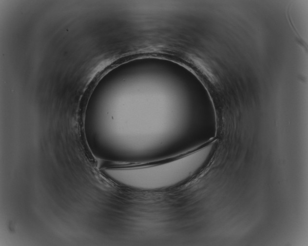 X0000093161308200709261501