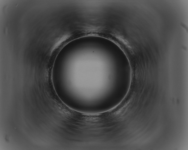 X0000093161309200709261501
