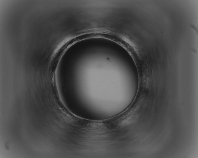 X0000093161310200709261501