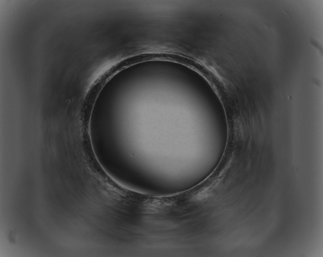X0000093161311200709261501