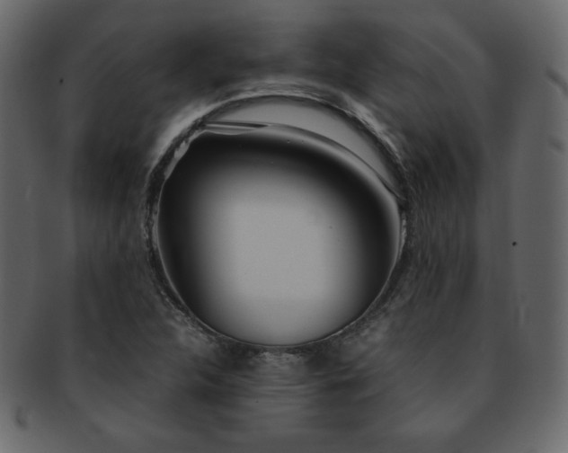 X0000093161312200709261501