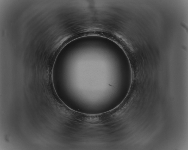 X0000093161313200709261501