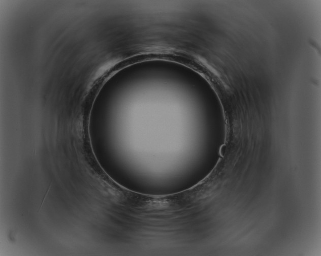 X0000093161315200709261501