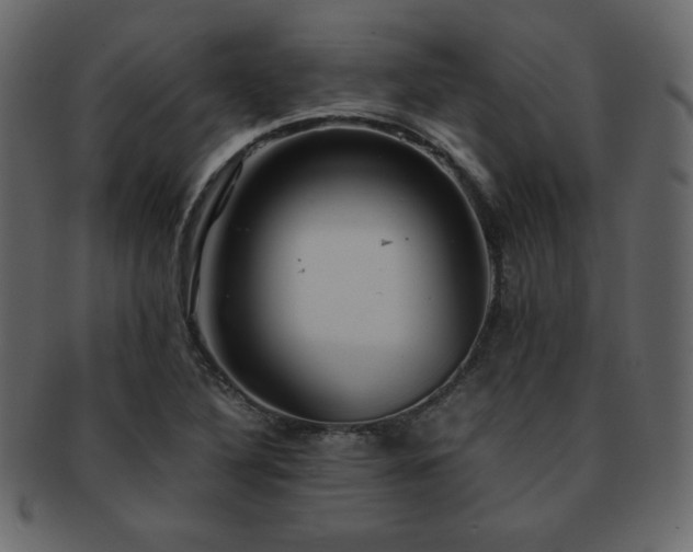 X0000093161316200709261501